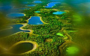 Hari Lahan Basah Sedunia 2023, Pentingnya Lahan Basah Bagi Makhluk Hidup