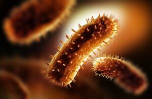 Apa Itu Virus Rabies? dan Cara Menanggulanginya Seperti Apa