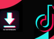 Cara Mudah Download Video Tiktok Tanpa Watermark