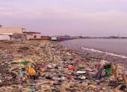 Pantai Teluk Labuan Pandeglang Kembali Dihiasi Sampah Setelah Dibersihkan oleh Pandawara Group