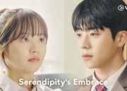 Review Drakor Serendipity’s Embrace, Salah Satu Drama Korea yang Wajib Ditonton