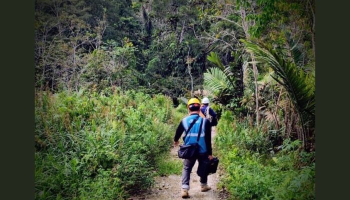 PLN Icon Plus Percepat Pemulihan Jaringan Melalui Perbaikan Backbone di Batang Toru, Tapanuli Selatan