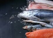 5 Jenis Ikan Terbaik untuk Kesehatan Jantung dan Otak yang Wajib Dikonsumsi
