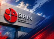 BRIN