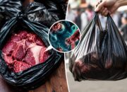 Kantong Kresek Hitam untuk Daging Kurban Ternyata Tidak Aman, Ini Faktanya