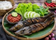 Tak Hanya Gurih dan Murah, Lele Ternyata Kaya Nutrisi Penting untuk Kesehatan Tubuh