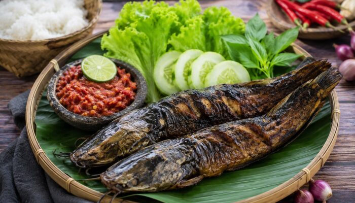 Tak Hanya Gurih dan Murah, Lele Ternyata Kaya Nutrisi Penting untuk Kesehatan Tubuh
