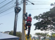 penataan kabel pln icon plus